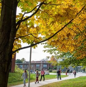 Students walk along a tree-lined path in autumn