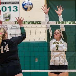 A SUNY Adirondack women's volleyball player jumps up toward the net to return a blue-and-white volleyball