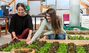 Professor of Business Kim Feeney London works with student Samantha Sprague in the on-campus greenhouse.