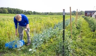 Farm Manager Tommy Donolli works in the campus farm.