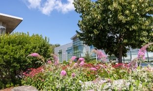 Flowers are seen growing in front of Adirondack Hall