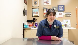 Dr. Lauren Malinconico, a veterinarian, is seen in an examination room