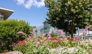 Flowers are seen growing in front of Adirondack Hall