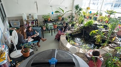 Students draw in the Tropical Conservatory