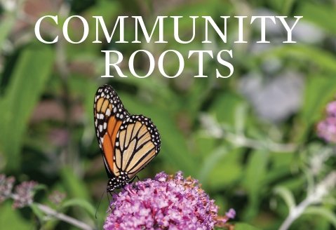 Image of the Summer 2025 issue with a butterfly landing on flowers with the words Community Roots