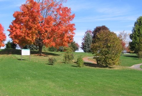 East-facing view of Arboretum, showing sign that reads "SUNY Adirondack Arboretum"