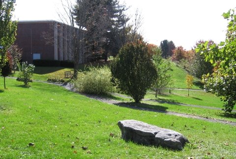 SUNY Adirondack's Arboretum is home to more than 110 specimens.