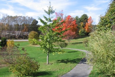 The Arboretum has a walking path that is open to students, faculty, staff and the public.
