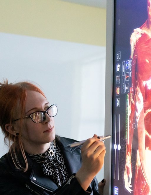 A lab tech demonstrates an Anatomage table at SUNY Adirondack Saratoga